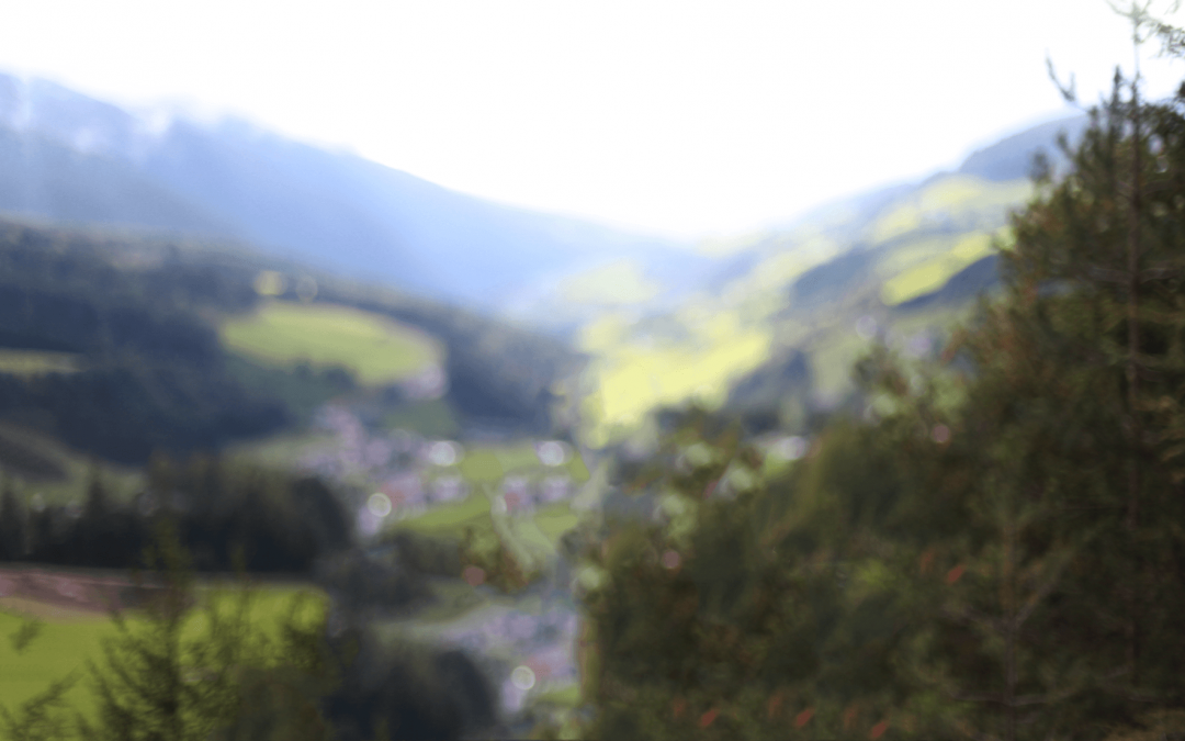 Summer Autumn News Letter