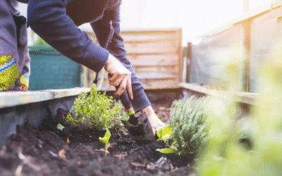 The Hope Hub Wellbeing Garden Chosen as a Co-op Local Community Fund Cause